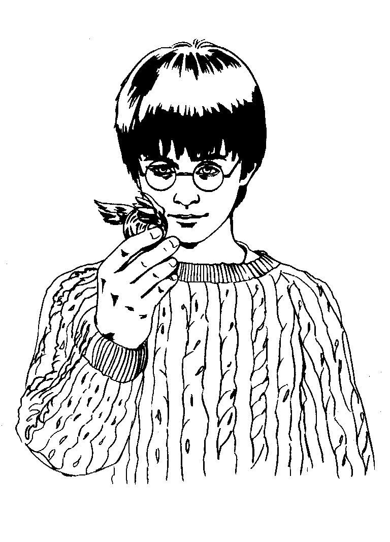 Harry Potter And The Philosophers Stone Book 1 Online Download